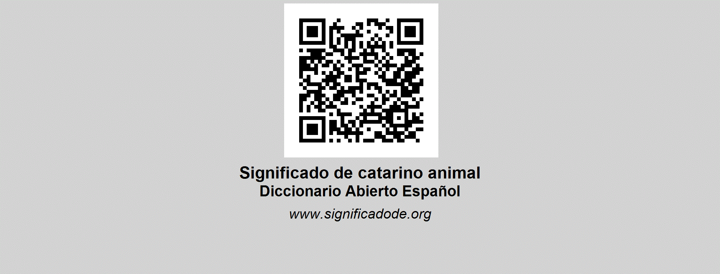 Great Catarino Animal of the decade Learn more here 